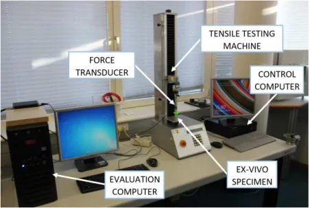 Fig. 4.4. Experimental setup for beef liver indentation tests at the Austrian Center for Medical Innovation and Technology.