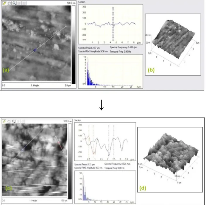 Figure 5.19: Influence of sodium chloride solution on the aluminum surface (a, b): metal surface  visualized in 3D and its section; (c, d): aluminum surface after immersion into chloride solution 