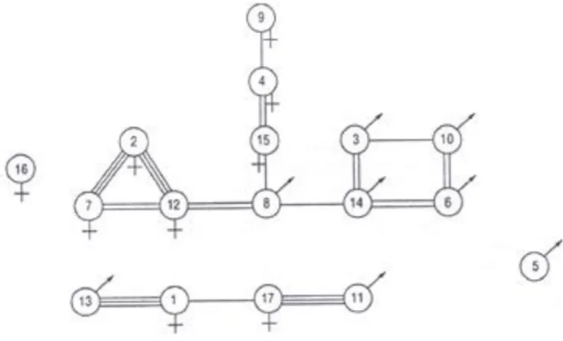 1. ábra Egy 17 fős csoport szociogramja. (Forrás: [8]) 