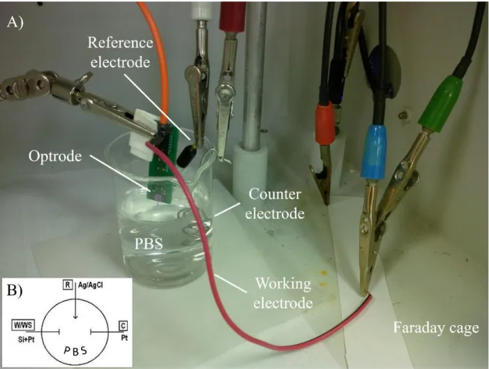 Figure 17: (A) Photo and (B) schematic of 3-electrode setup for electrochemical inspection of  recording sites