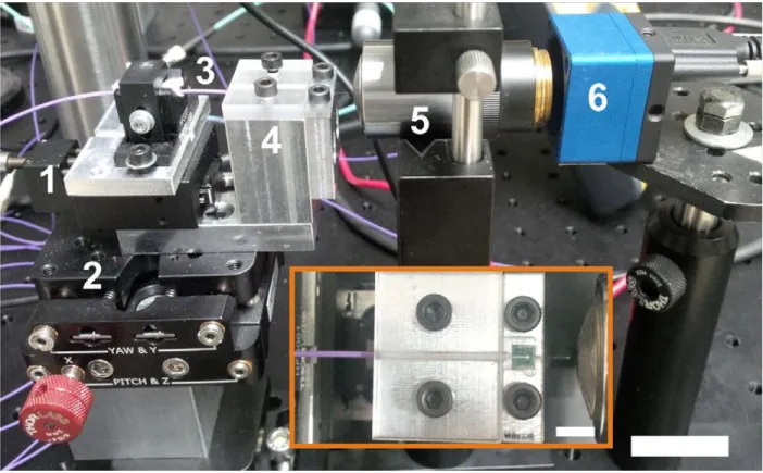 Figure 20: Photo of the waveguide efficiency measurement setup for chip scale optical  characterization
