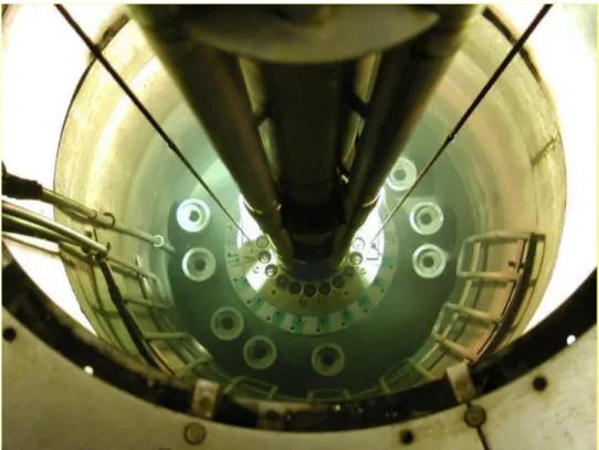 4. ábra: Az Izotóp Intézet Kft.  60 Co gamma-besugárzója 