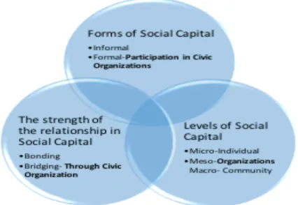 Figure 1. Social Capital- Why? Who? To whom? 