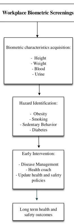 Figure 3 shows a summary of the main aspects of how biometric screenings contribute to  occupational safety and health outcomes