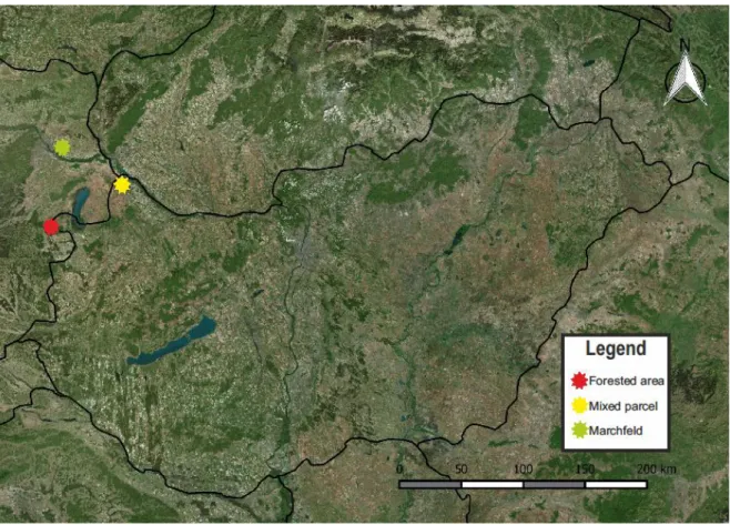 Figure 4.5. The location of study areas  4.2.1.  Forested area 