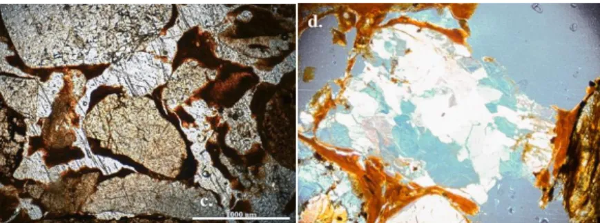 Figure 4. Red clay rendzina soil profile, 10-30 cm layer, iron-containing coating  around  the  skeletal  grains  (left);  30-70  cm  quartz  grain  with  iron-containing  coating (right)