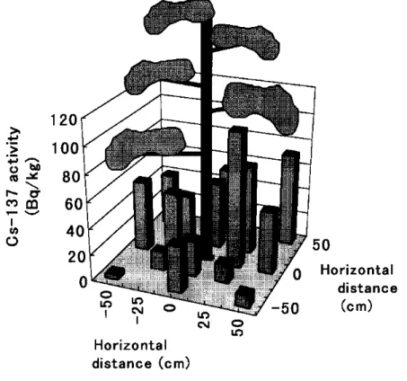 6. ábra: Cs-137 térbeli eloszlása a talajban egy vörösfenyő körül (C. Takenaka et al. 1998)