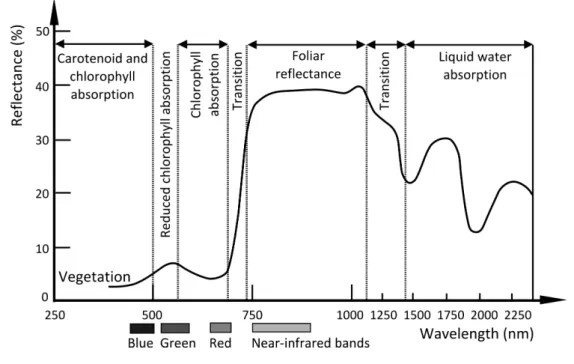 Figure 2.1: Reflectance curve of vegetation after Jensen (2014).