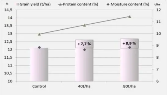 Figure 5. The three years average of grain yield, moisture and protein content of winter  wheat in  nutrition trials with sludge  from biogas production of sugar beet pressed