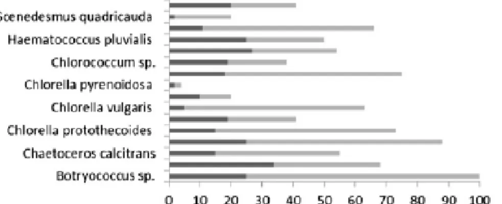 8. ábra Édesvízi algafajok lipid tartalma (% tömeg/szárazanyag) (Amaro et al., 2012.) 