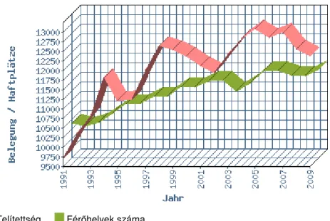              19. ábra: A bajor intézetek telítettsége és fér helyeinek száma 1991-2009 között 
