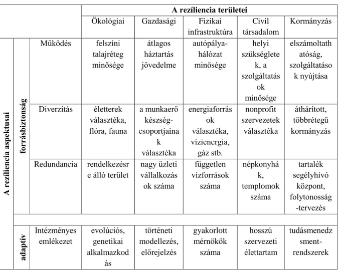 7. táblázat: Longstaff et al. (2010) elemzései és példái összesített formában  A rezíliencia területei 