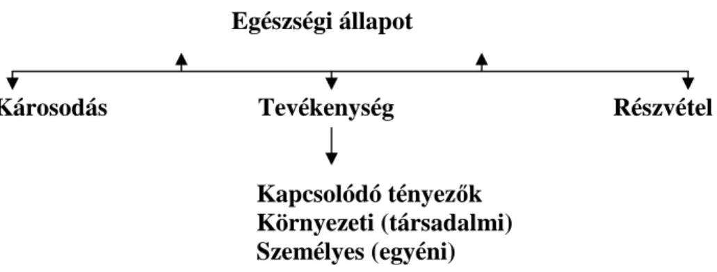                          2. ábra A modern rehabilitációs modellje  (Kálmán – Könczei, 2002) 39