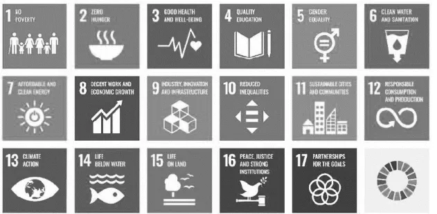 Figure 4: Sustainable Development Goals (SDGs) 