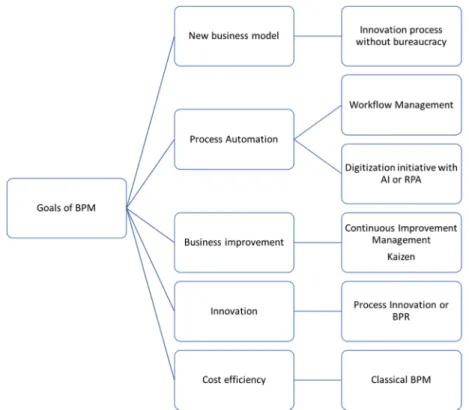 Figure 7 Decision on Goals of Business Process Management,  own illustration 