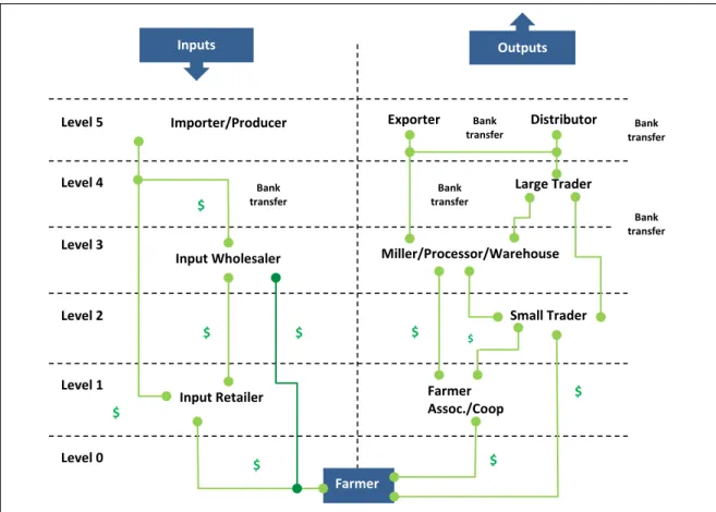 Figure 2. Illustrative DFS Needs at Different Agri-Value Chain Level 