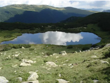 13. ábra – A sekély és tőzegmohás Turcelu tó a Retyezát-hegységben. (fotó: 
