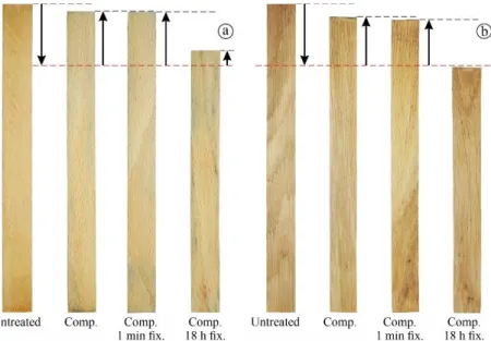 Figure 1 Remaining shortening of beech (a) and oak (b) samples as a result of  longitudinal compression by 20% (red line) and different fixation times