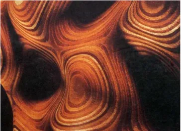 1. kép: Bernard Cache Earth Moves köteténének borítóképe (Cache 1995) 