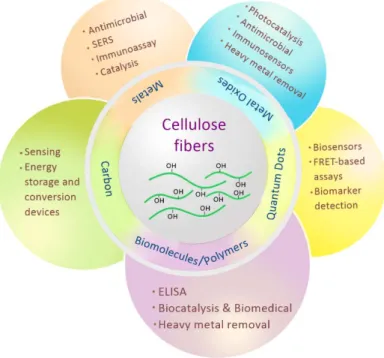 Figure 1.10 Applications of cellulose fibres modified with nanomaterials 