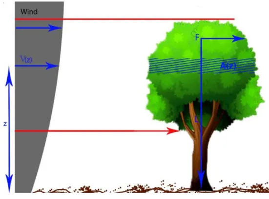 Figure 12- Influence of the load component (Wessolly 1998) 