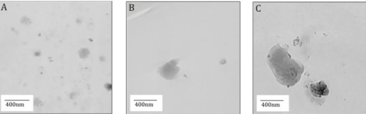 Figure 1. TEM images of PLA based samples containing MCC treated with ultrasound, A: 1C_PU, B: 3C_PU, C: 5C_PU