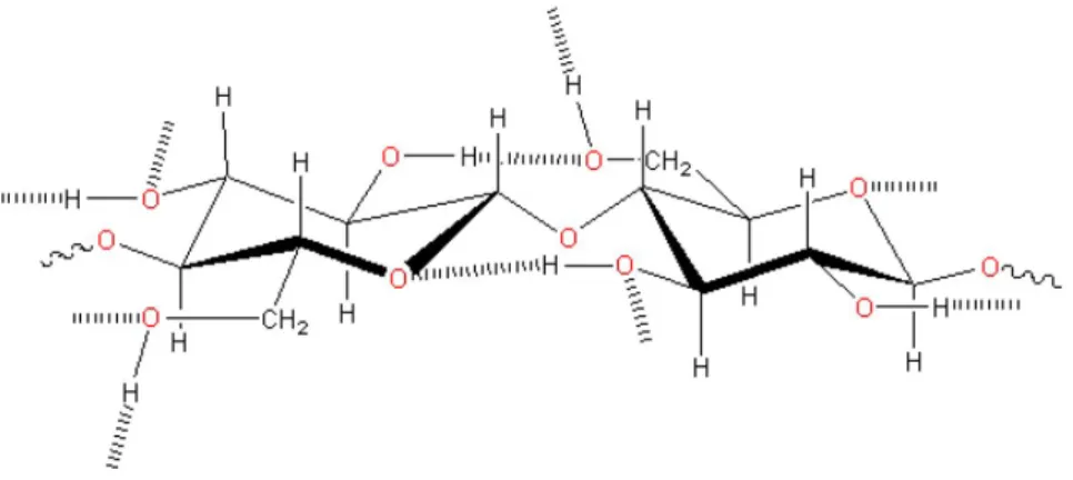Figure 3.2. Molecule structure of cellulose