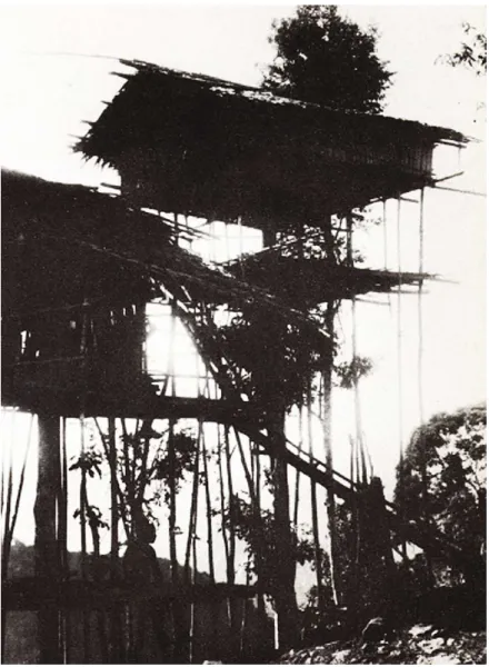 42. ábra Földtıl magasan megemelt fákra épült ‛házak’ Pápua Új-Guineában,   fénykép az Építészet építészek nélkül kiállítás anyagából 