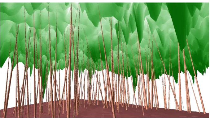 Figure 2-25. Tree height estimation by means of cylindrical stem models and crown surface model (Brolly and  Király, 2009a)