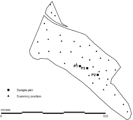 Figure 4-5. Sample site P0 including the sample plots P1, P2 and P3 with the scanning positions