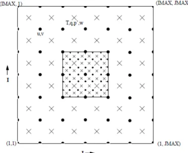 4.1. ábra. A modell horizontális rácshálózatának struktúrája Arakawa – Lamb nyomán; 