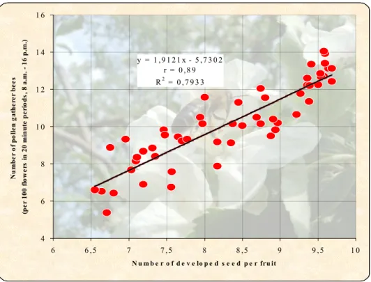 Figure 7  The effect of pollen gatherer honeybees on the number of viable seeds   per apple (Mosonmagyaróvár, 2001-2003), n = 432, significant at P=5% level 
