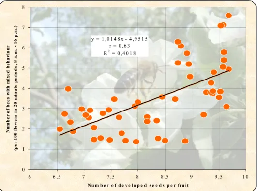 Figure 9  The effect of honeybees with mixed behaviour on the number of viable seeds   per apple (Mosonmagyaróvár, 2001-2003), n = 432, significant at P=5% level 