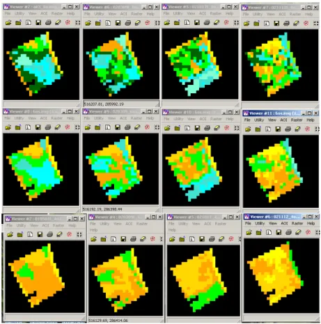Figure 11: Classified satellite image, category 8, 6, 4 top-down  On the edge of the field different pixel value sites are found but in time  the field becomes more homogeneous