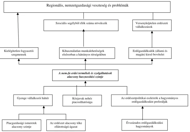 5. ábra. A nem-fa erdei termékek és szolgáltatások szektorának problémafája 