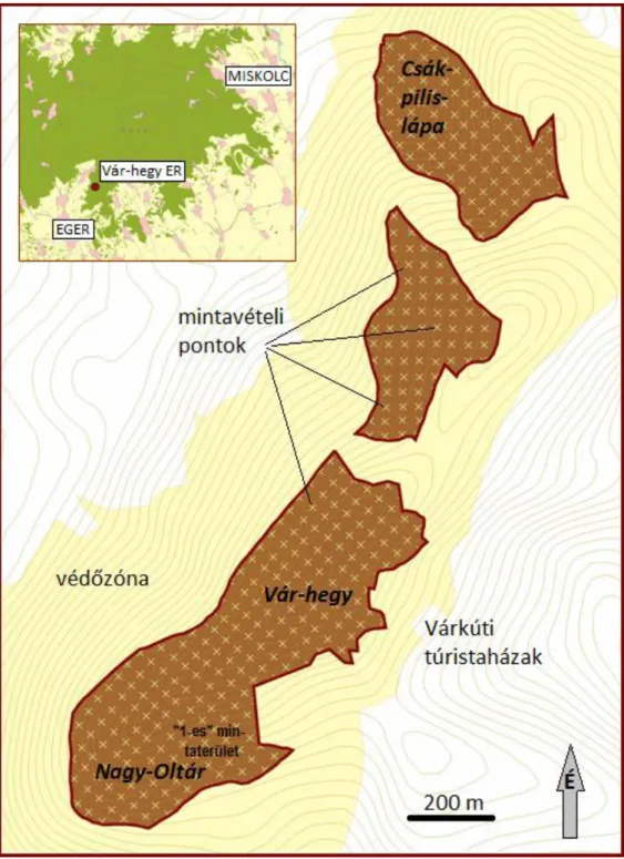 2. ábra  A Vár-hegy erdőrezervátum áttekintő térképe 
