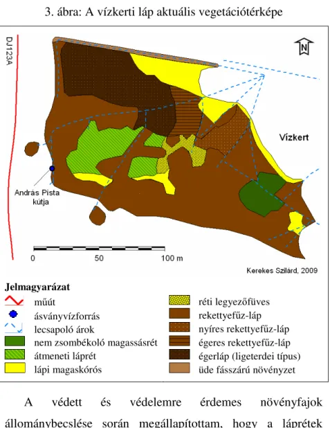 3. ábra: A vízkerti láp aktuális vegetációtérképe 