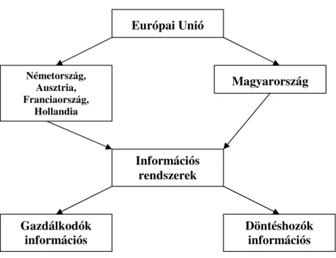 2. ábra. A kutatás vizsgálati menete  Forrás: saját összeállítás, 2004 