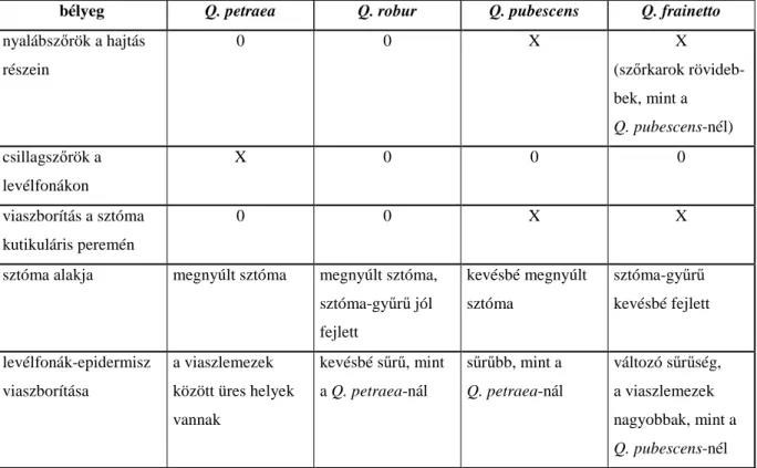 6. táblázat: Vegetatív szervek fajspecifikus endomorfológiai bélyegei a Quercus szekció hazai  képviselıinél  M ÁTYÁS   (1983),  A AS   (1995,  1998),  G ELLINI   et  al