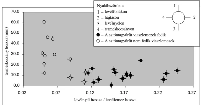 25. ábra: Sztómák SEM-vizsgálata alföldi molyhos tölgy populációkban 