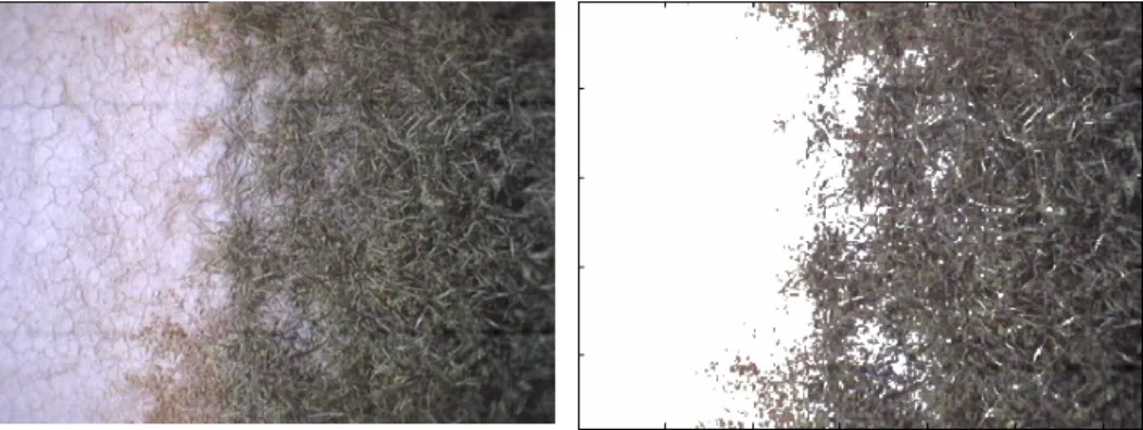 Figure 7: Image recorded by field system (left); separated plants  (right) 
