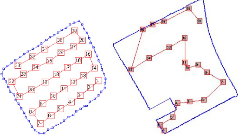Figure 3.4.2.5. The penetrometer-sampling plan on the 1 ha experimental area and  field No
