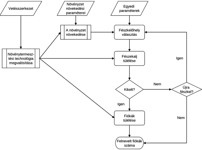 2. ábra: A reprodukciós modell folyamatábrája 