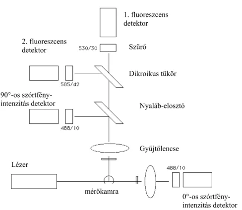 4. ábra. Áramlási sejtanalizátor (flow citométer) sematikus rajza 