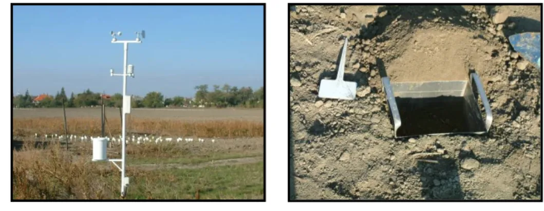 24. ábra: a kaszatok elhelyezé- elhelyezé-se a talajban 