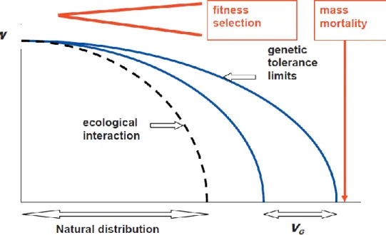 Figure 9. Ecological-genetic model of fitness decline and mortality triggered by worsening of  climatic conditions