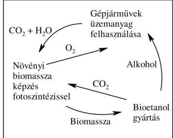 A bioalkohol felhasználásának környezetvédelmi el ő nyeit (5. ábra), üvegház gáz  csökkent ő  hatását több tanulmányban is vizsgálták (Shapouri és mtsai, 2002; 