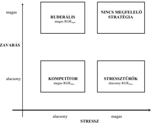 3.1.1. ábra: Grime növénystratégiái (Berzsenyi, 2000) 