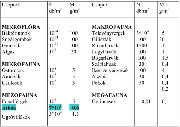 1. táblázat A talajban élő szervezetek fontosabb csoportjainak átlagos egyedszáma (N) és  testtömege (M) egy négyzetméteren (Dunger, 1984) 