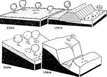 talaj  vízáteresztő  képességét  is  24. ábra: Az utak befolyásolják a talajvíz áramlását (F I , 1999) 